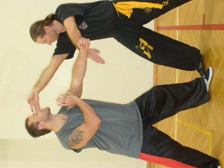 Wing Chun Kung Fu-sifu