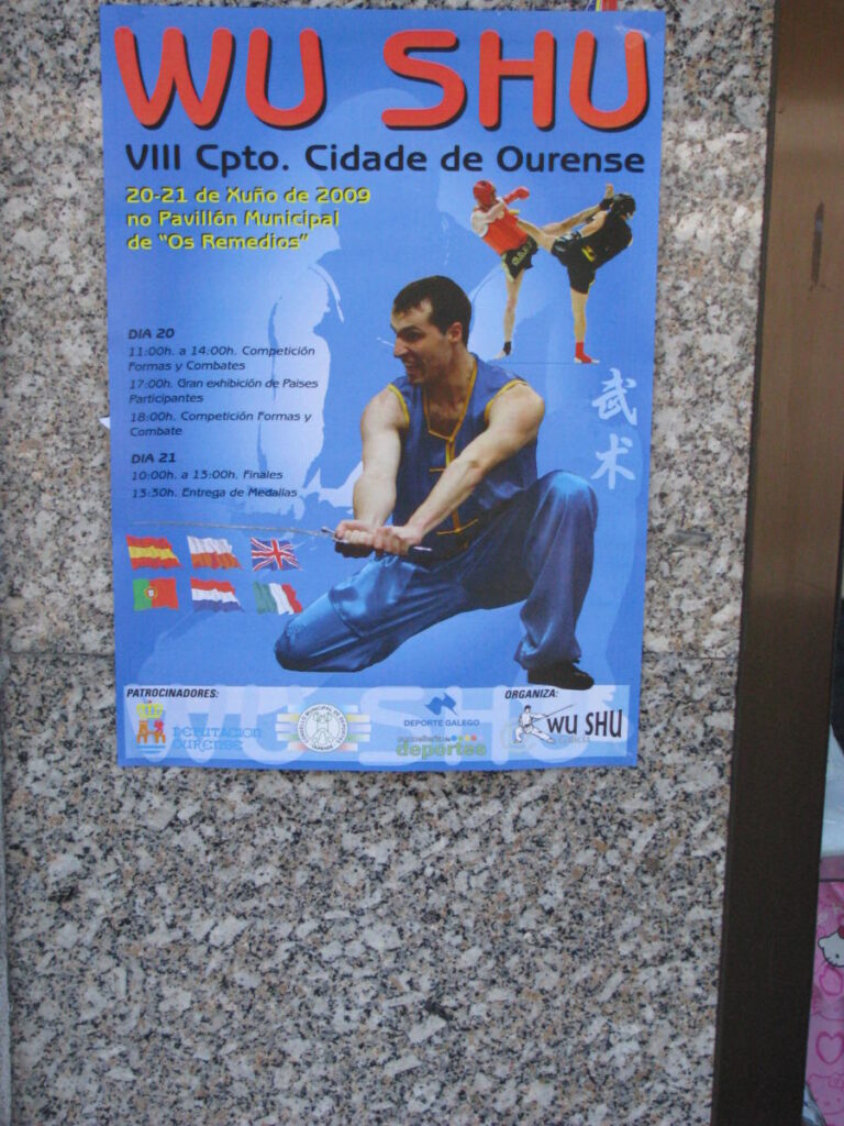 VIII Międzynarodowy Turniej Wushu