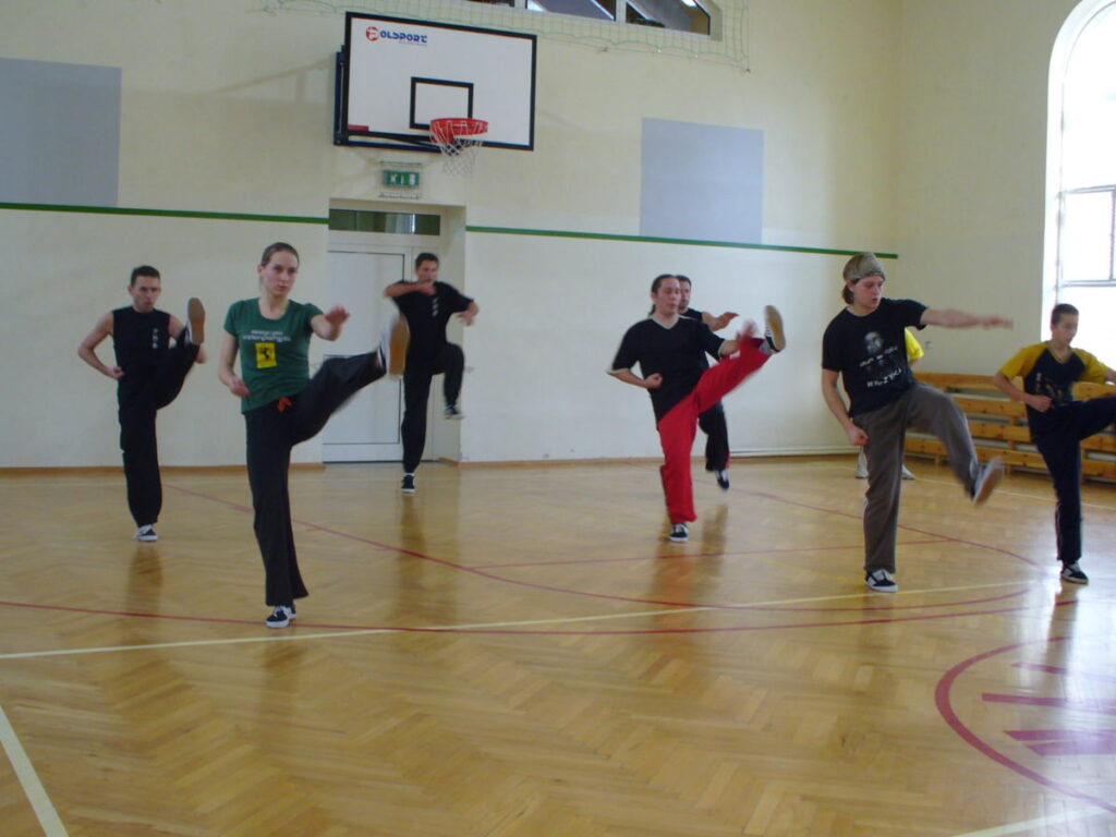 Shaolin Kung Fu-sifu