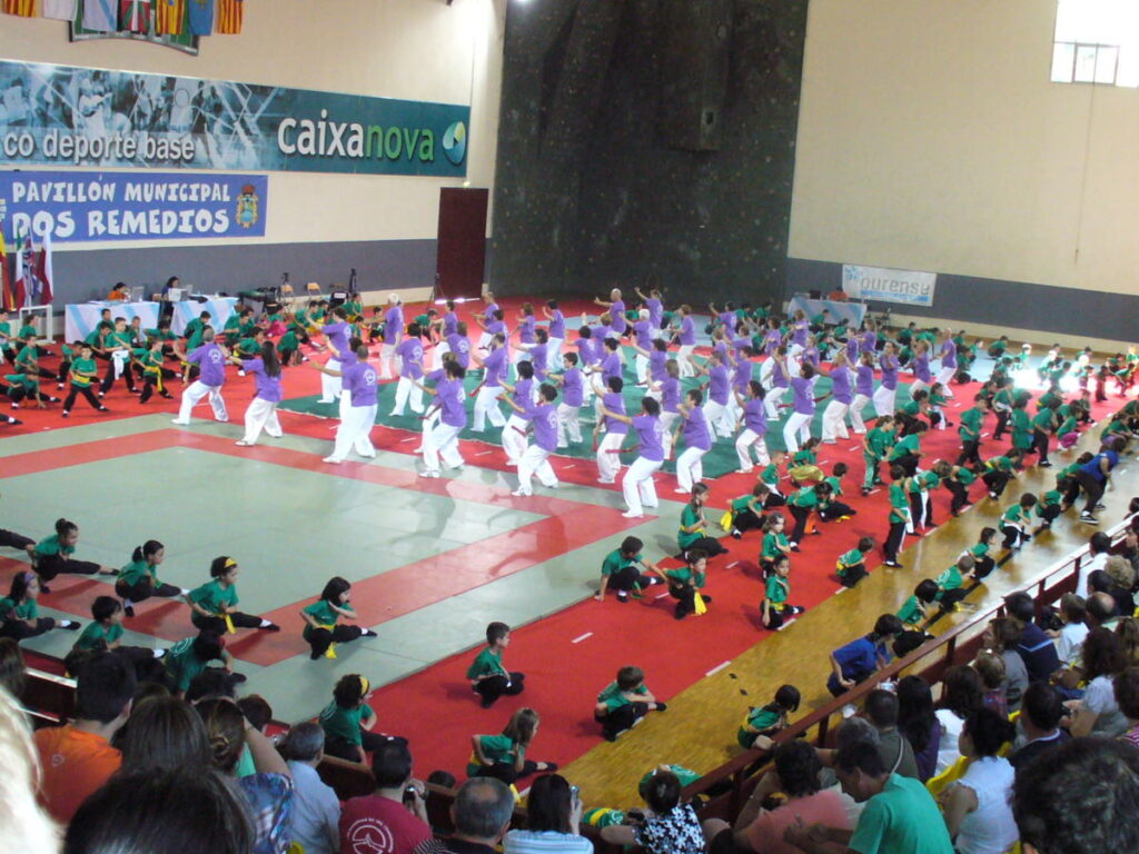 VIII Międzynarodowy Turniej Wushu
