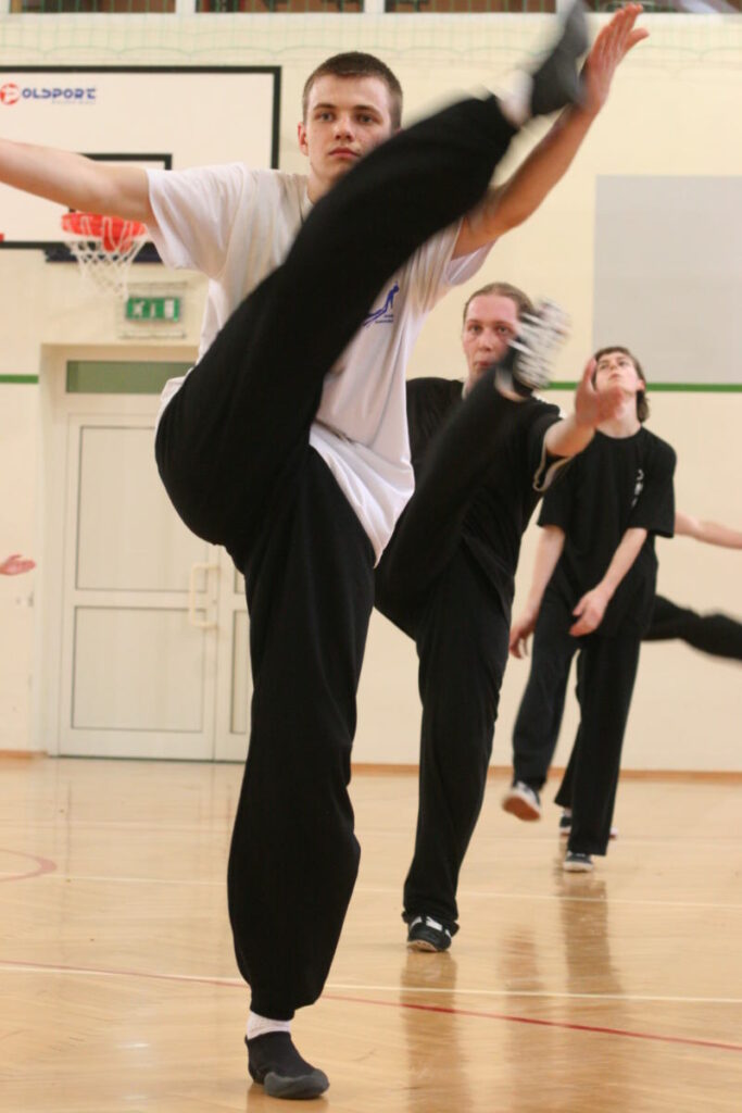 SHAOLIN KUNG FU