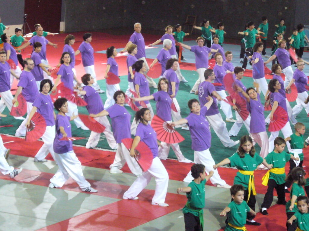 VIII Międzynarodowy Turniej Wushu