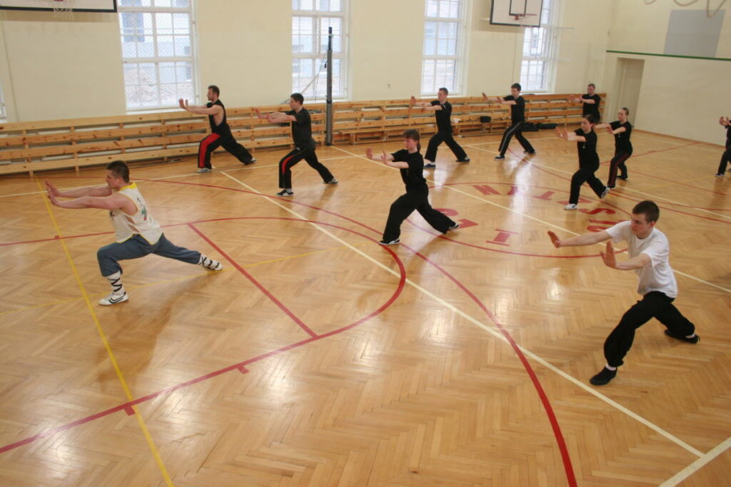 SHAOLIN KUNG FU