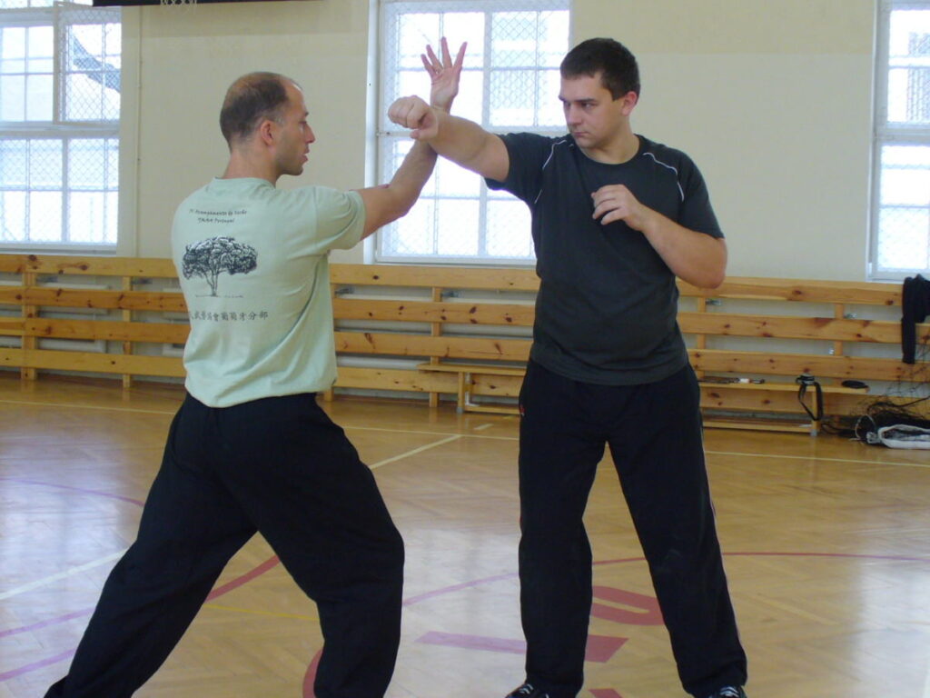 Tai Chi Chuan