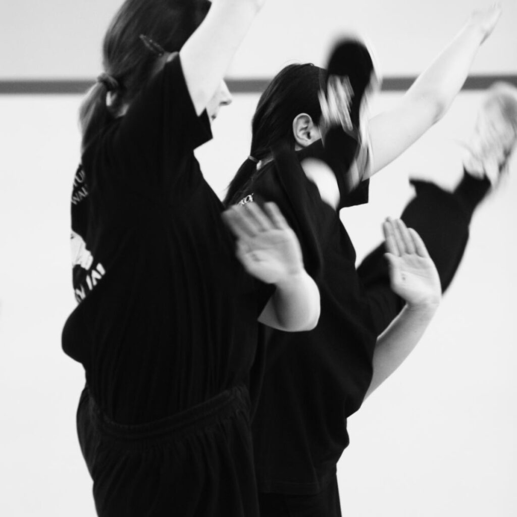 SHAOLIN KUNG FU