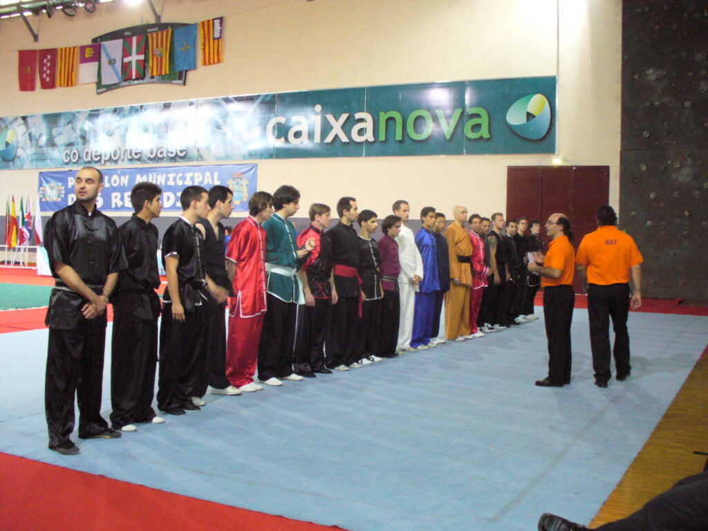 VIII Międzynarodowy Turniej Wushu