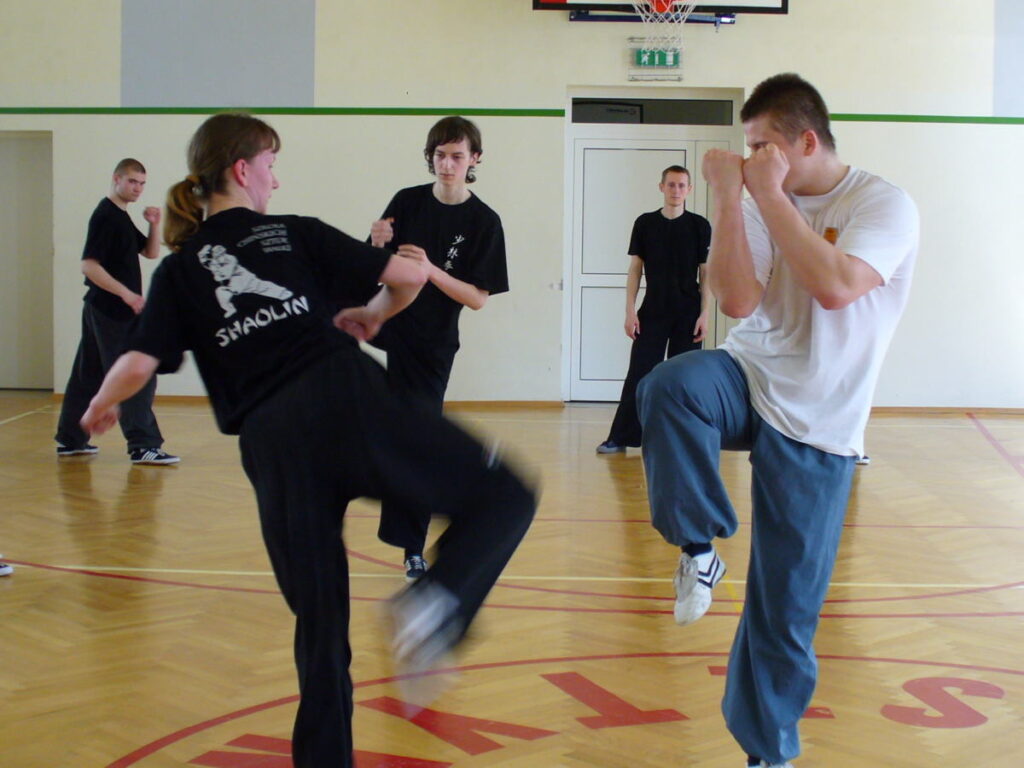 SHAOLIN KUNG FU