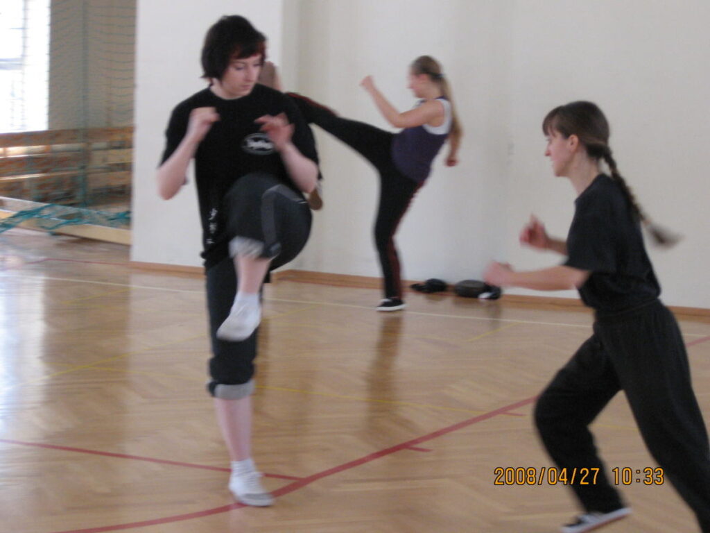 SHAOLIN KUNG FU