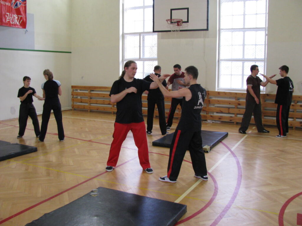Shaolin Kung-fu - Żuraw