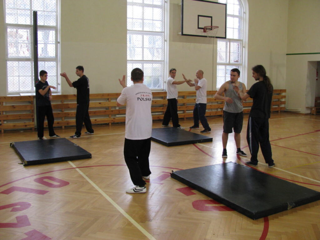 Shaolin Kung-fu - Żuraw
