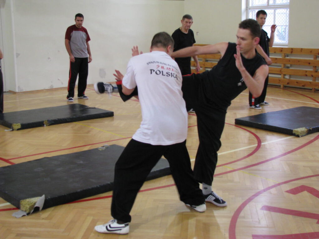 Shaolin Kung-fu - Żuraw