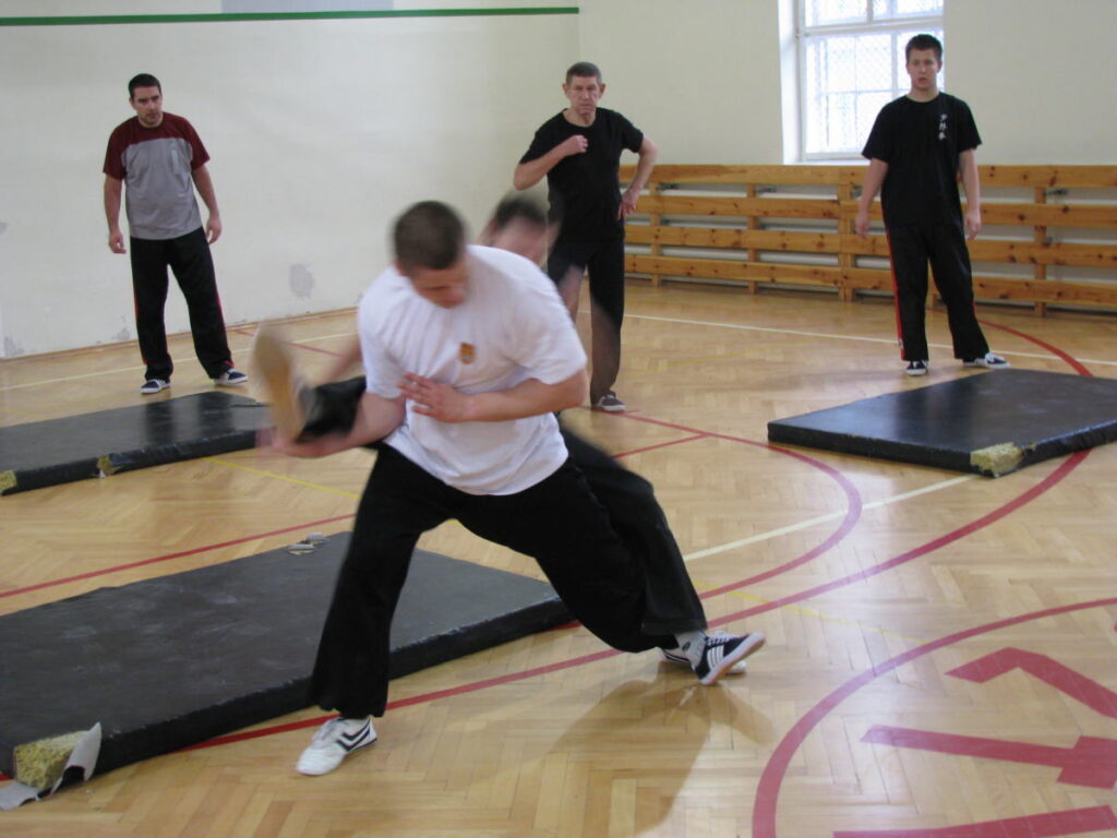 Shaolin Kung-fu - Żuraw