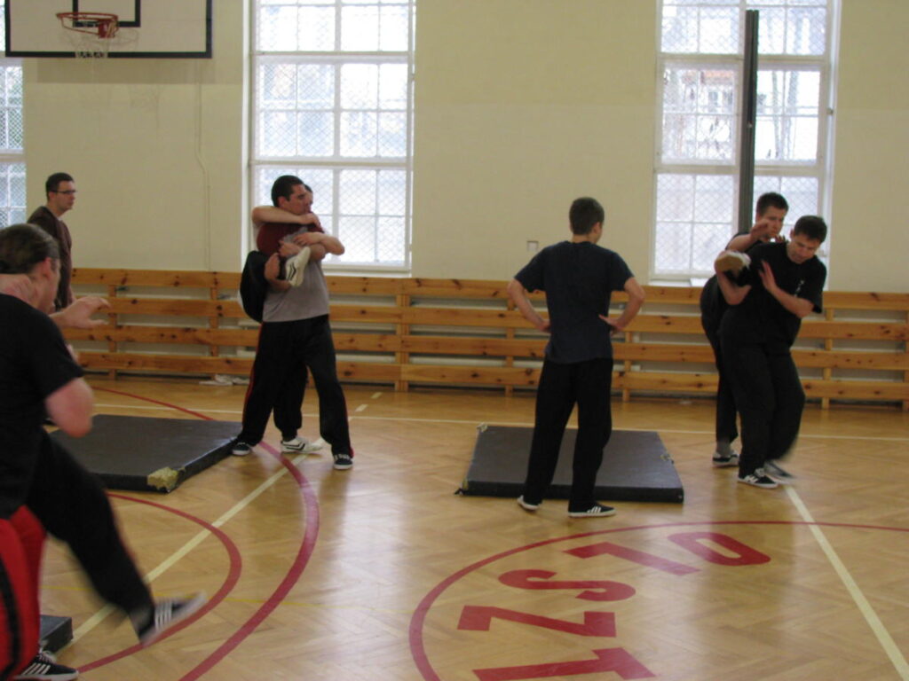 Shaolin Kung-fu - Żuraw