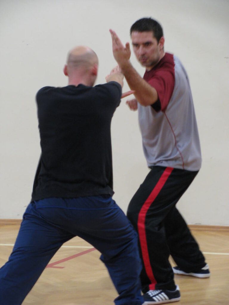 Shaolin Kung-fu - Żuraw