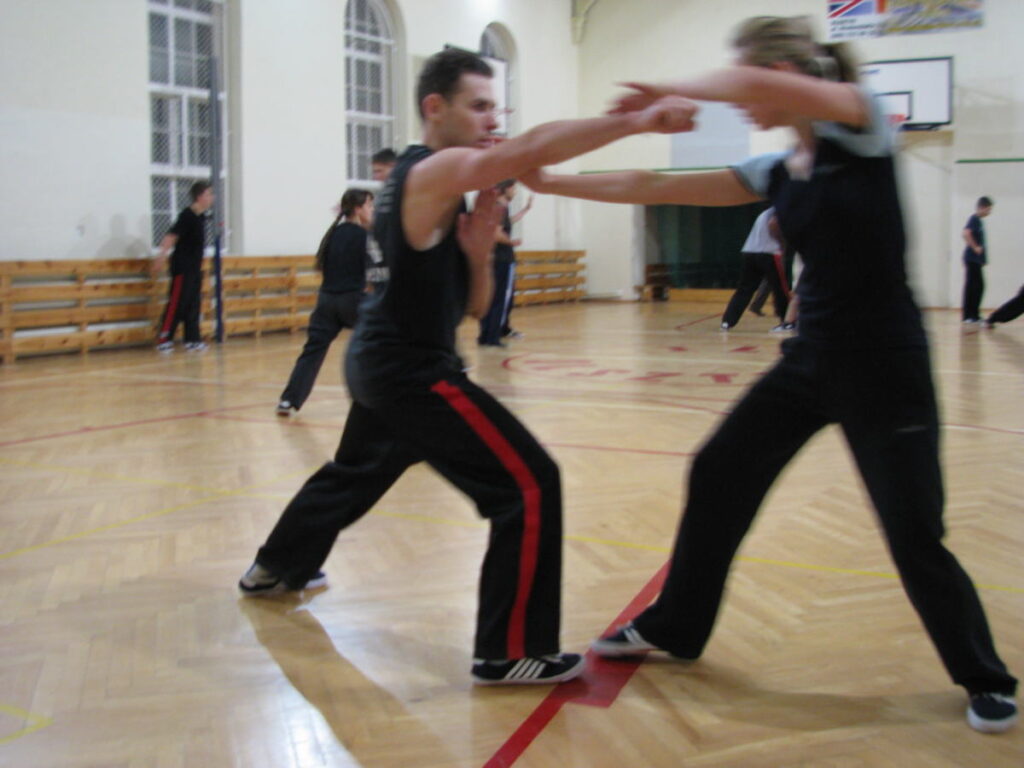 Shaolin Kung-fu - Żuraw
