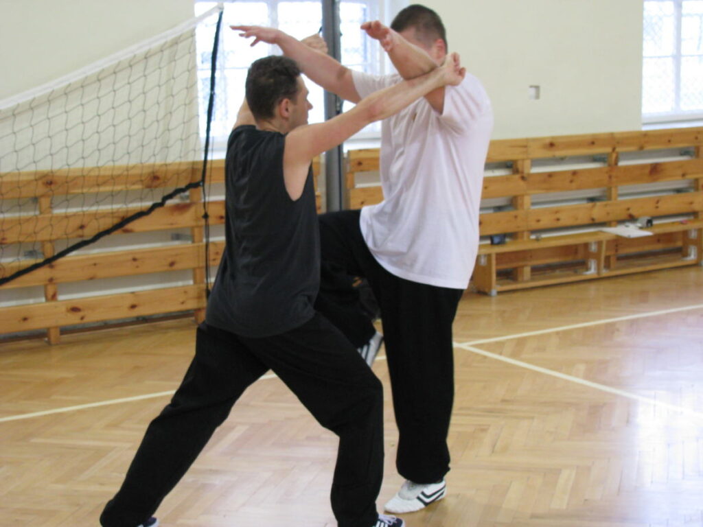 Shaolin Kung-fu - Żuraw