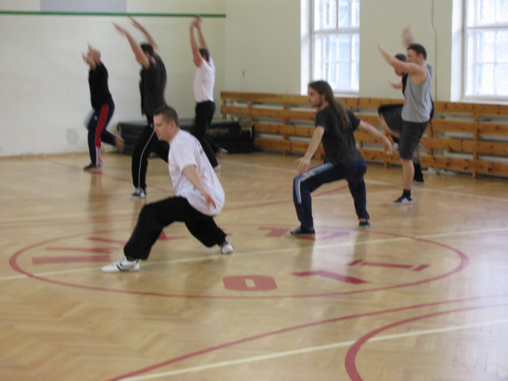 Shaolin Kung-fu - Żuraw