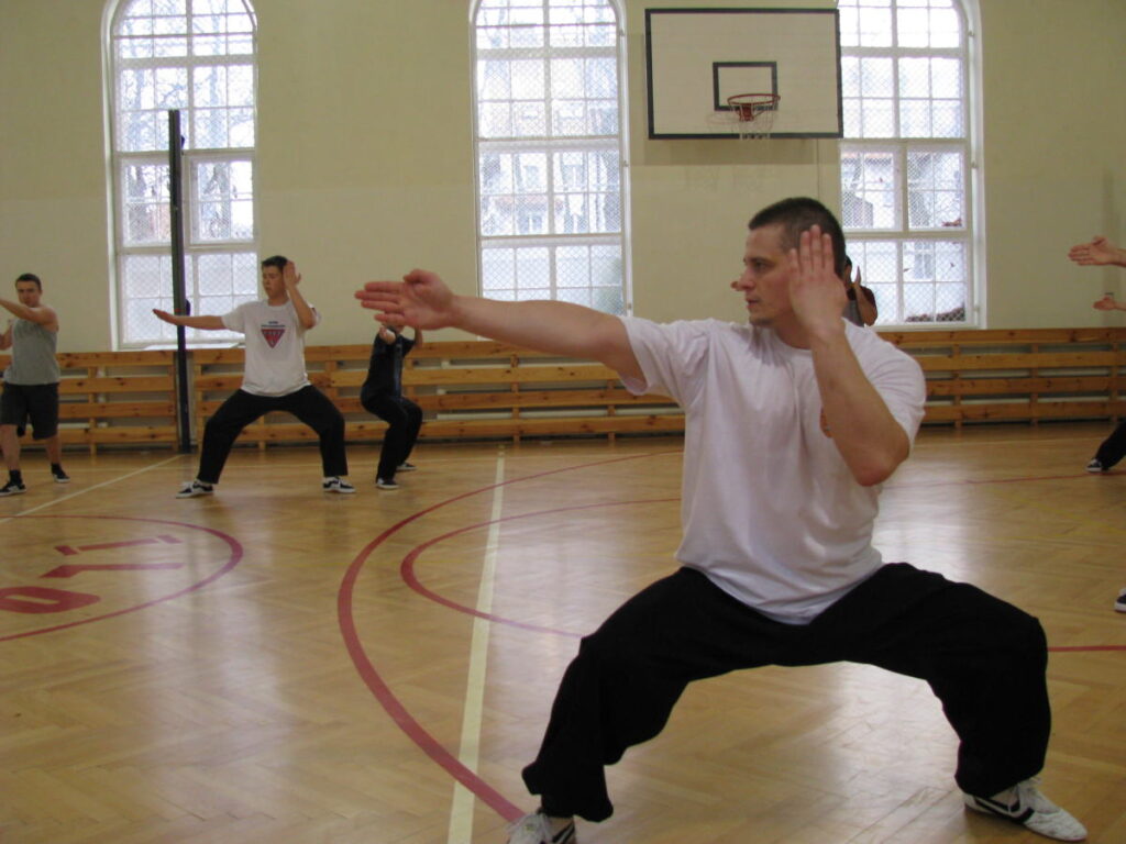 Shaolin Kung-fu - Żuraw