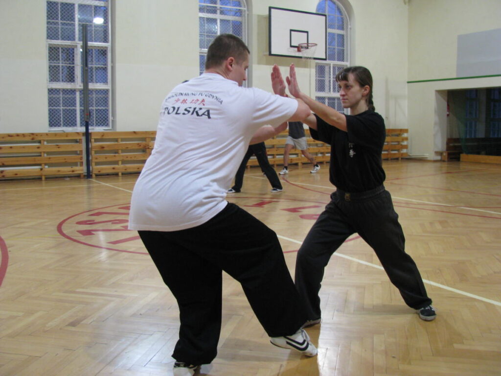 Shaolin Kung-fu - Żuraw