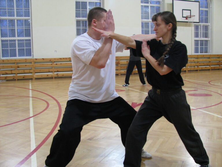 Shaolin Kung-fu – Żuraw