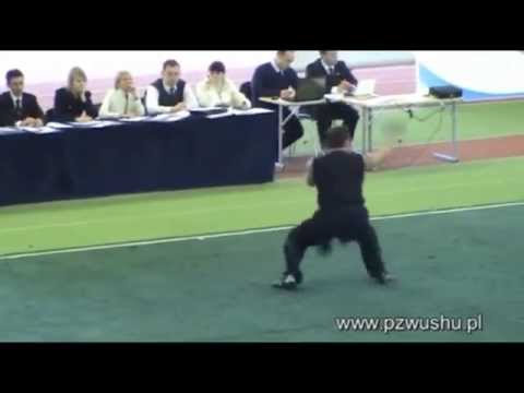 Mistrzostwa Europy Tallin 2011 Roman Lichacz i Beata Engel Hua Chuan